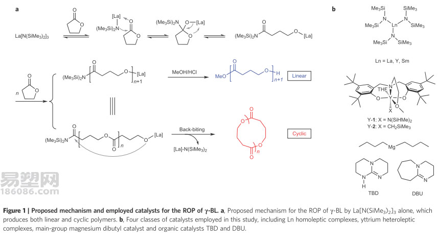 γ-丁内酯开环聚合成功 可循环利用生物聚合物